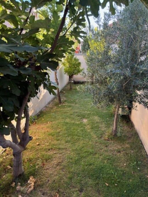 Estupenda Casa Compartida De Arquitecto! Villa Madrid Eksteriør billede